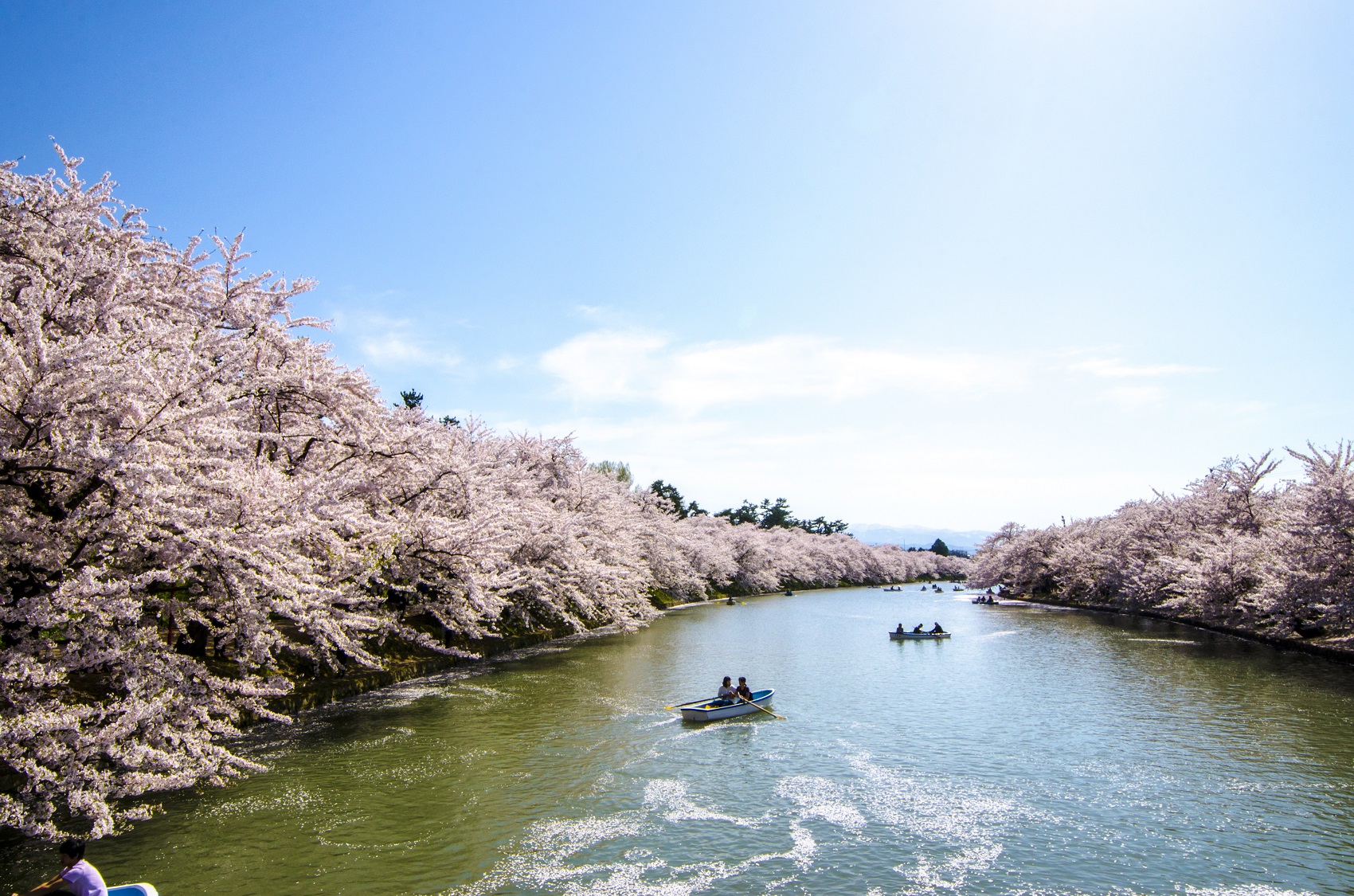 hirosaki-japan